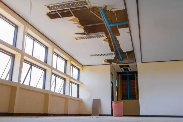 Best Flood restoration services  in Ellsworth, WI