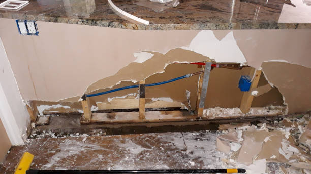 Best Sewage cleanup and water damage restoration  in Ellsworth, WI